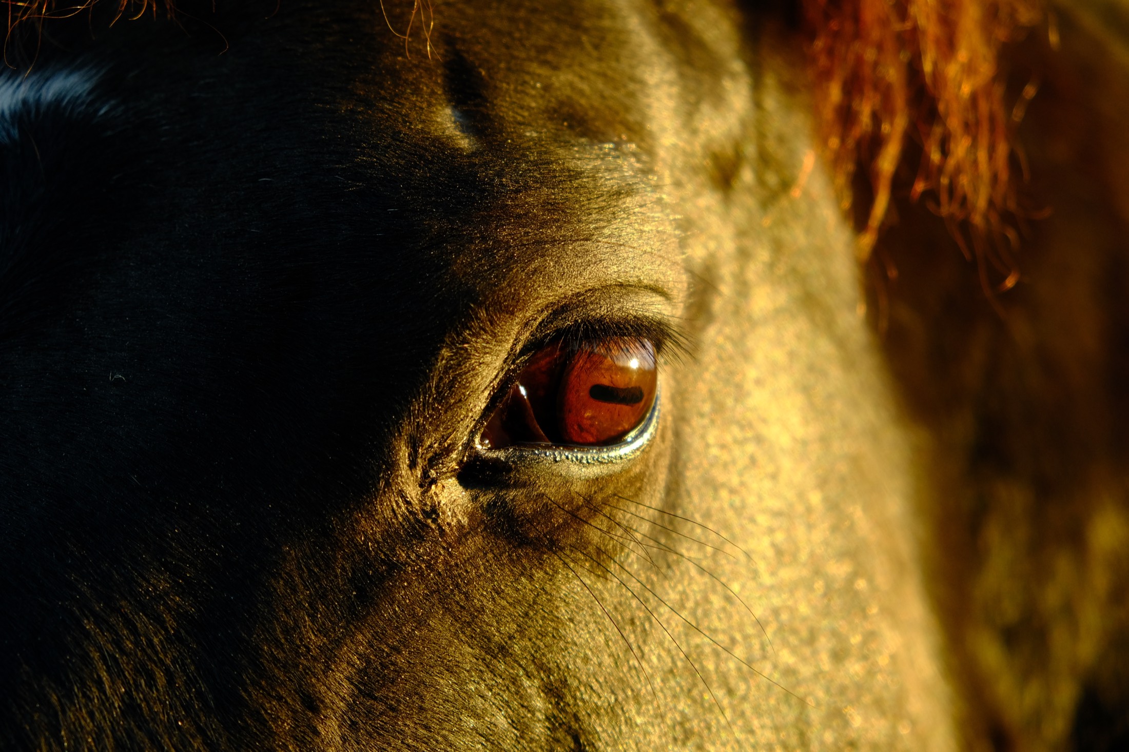 Photography by Camden Archambeau - Photo 7